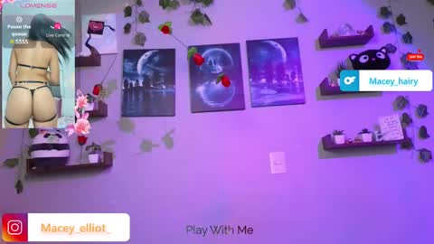 Snapshot of macey_hairy chatting on March 2025 09:35:01 PM Macey Elliot Modelo Independiente online show from March 2025 09:35:01 PM