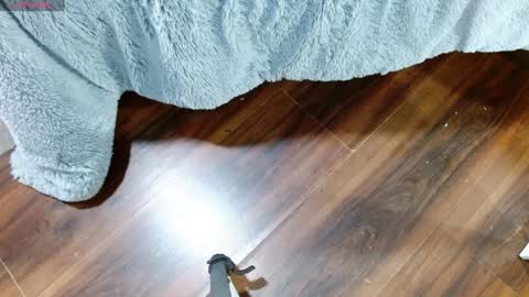 Maddy UwU online show from January 2025 12:32:02 PM