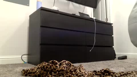 Snapshot of madiexcuslive chatting on February 2025 02:25:02 AM yourfavblonde online show from February 2025 02:25:02 AM