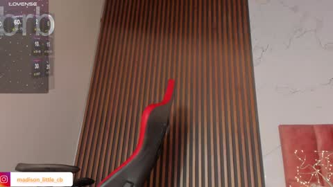 Snapshot of madison_little chatting on January 2025 04:06:01 PM Melissa 700 1400 -5 online show from January 2025 04:06:01 PM