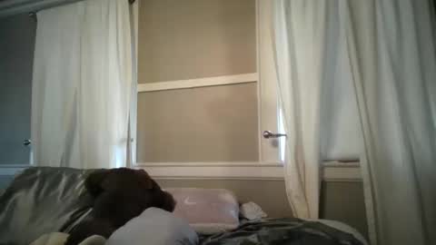 Madison online show from October 2025 07:25:02 PM