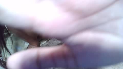 maegold69 online show from January 2025 01:24:02 PM