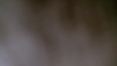 Snapshot of maestronex chatting on December 2024 04:22:01 PM maestronex online show from December 2024 04:22:01 PM