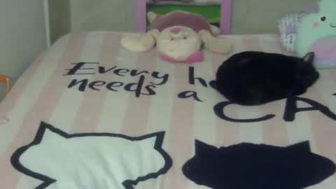 maferchavez88 online show from February 2026 10:19:01 PM