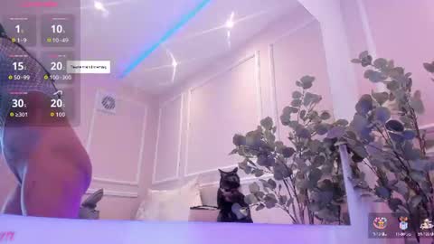 Maia online show from July 2026 11:06:02 AM