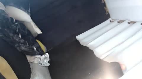 Snapshot of majestic_princesslei chatting on January 2025 07:11:01 AM Lei online show from January 2025 07:11:01 AM