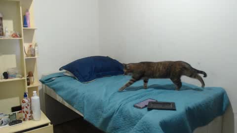 Snapshot of makennaa_1 chatting on March 2025 09:12:02 AM MAKENNAA online show from March 2025 09:12:02 AM