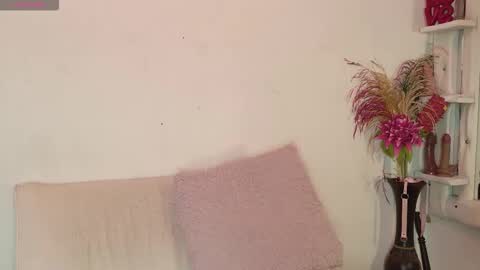 Maki online show from February 2026 08:49:02 PM