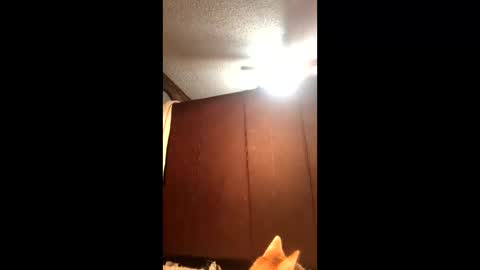 KarizmaticKitten online show from February 2026 12:11:01 AM