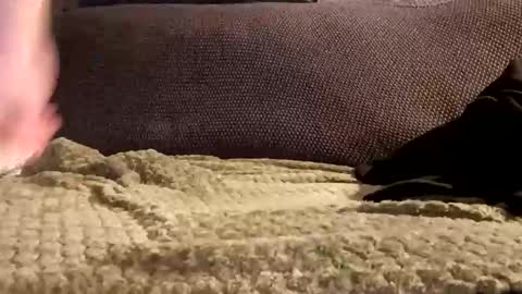 Snapshot of mako998843 chatting on January 2026 10:01:01 PM mako998843 online show from January 2026 10:01:01 PM