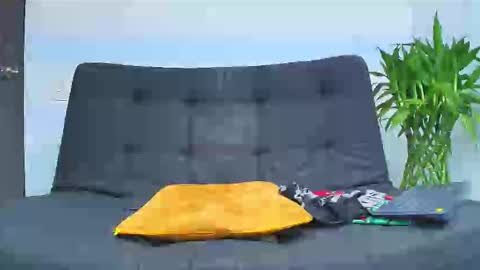 Malcom online show from February 2026 02:16:02 AM