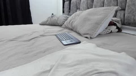 Snapshot of malconstone chatting on February 2026 02:40:01 AM Malcom Stone online show from February 2026 02:40:01 AM