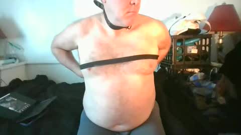 Snapshot of malebdsmslut chatting on March 2026 10:59:02 PM CommandbondageNipples bondage kink submissive lovense slave wgear. modequiethvyBondage If Password goldfish online show from March 2026 10:59:02 PM