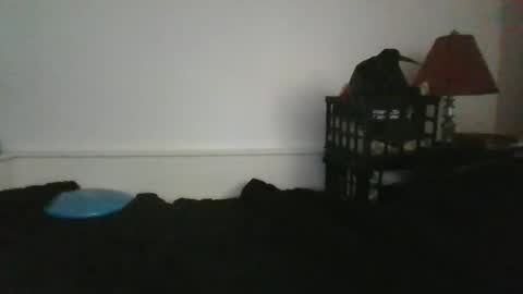 CommandbondageNipples bondage kink submissive lovense slave wgear. modequiethvyBondage If Password goldfish online show from May 2026 12:23:01 PM