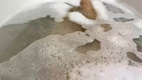 Snapshot of malekula1 chatting on November 2025 09:03:02 PM Monad online show from November 2025 09:03:02 PM