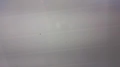 Snapshot of malen_fitnessmilf chatting on March 2026 11:02:02 AM malen_fitnessmilf online show from March 2026 11:02:02 AM