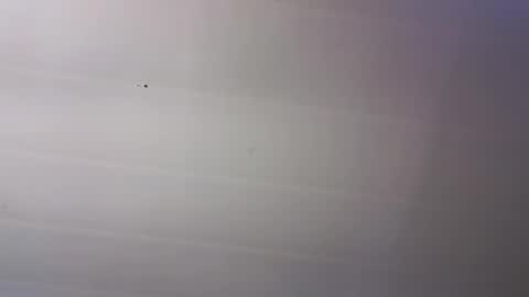 Snapshot of malen_fitnessmilf chatting on March 2026 11:36:01 AM malen_fitnessmilf online show from March 2026 11:36:01 AM