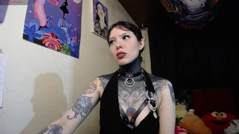 Snapshot of maliceinwonderland25 chatting on December 2024 01:37:02 AM Alice Asylum online show from December 2024 01:37:02 AM