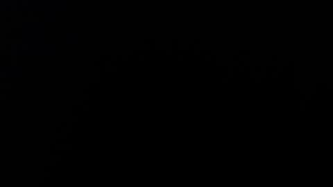 Alice Asylum online show from November 2025 11:32:02 PM