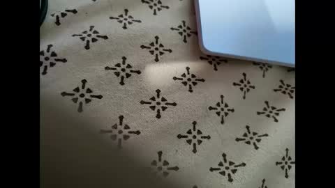 Snapshot of mallik63040 chatting on February 2025 09:56:02 AM Sree0703 online show from February 2025 09:56:02 AM