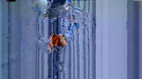 maluma1981 online show from December 2024 01:34:01 AM