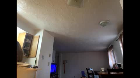 mamaboozey online show from March 2026 10:01:01 PM