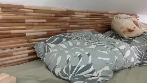 mamattv online show from January 2026 09:47:02 AM