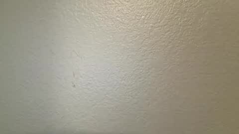 mamiilatina2500 online show from March 2026 04:45:02 PM