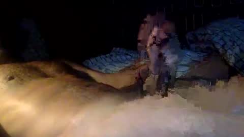 mandalay3 online show from November 2025 10:13:02 AM