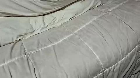 Snapshot of manlymanson chatting on November 2025 08:42:01 AM Dickinabox online show from November 2025 08:42:01 AM