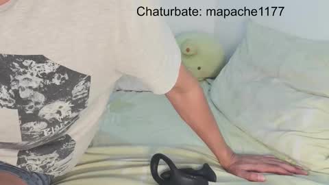 Snapshot of mapache1177 chatting on March 2026 10:05:02 PM mapache1177 online show from March 2026 10:05:02 PM