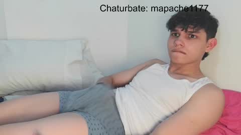 Snapshot of mapache1177 chatting on May 2026 11:54:01 PM mapache1177 online show from May 2026 11:54:01 PM