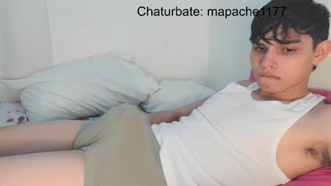 Snapshot of mapache1177 chatting on May 2026 02:28:01 AM mapache1177 online show from May 2026 02:28:01 AM