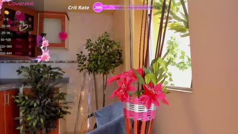 MARA  online show from May 2026 11:51:02 AM