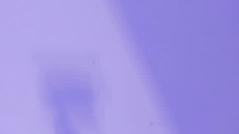 MARCELO online show from January 2025 06:28:01 AM