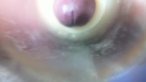 Marc online show from February 2026 11:41:02 PM