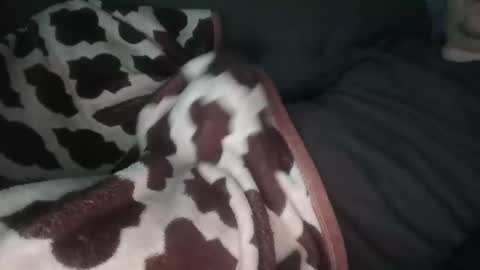 marek online show from November 2025 12:48:02 PM