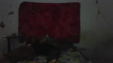 casal delicia online show from February 2026 09:13:01 PM