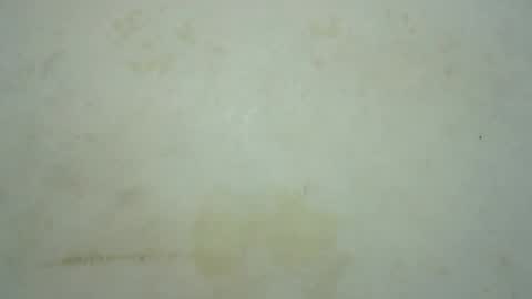 mariah_lovely online show from July 2026 08:26:02 PM