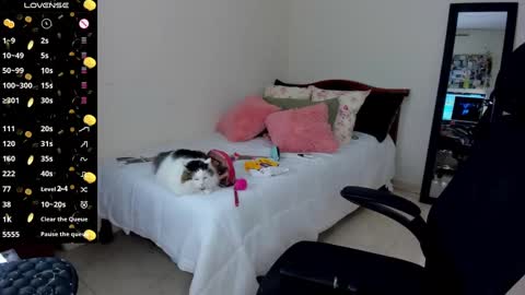 Snapshot of mariamcastillo chatting on January 2025 03:01:01 AM Mariam Castiblanco online show from January 2025 03:01:01 AM