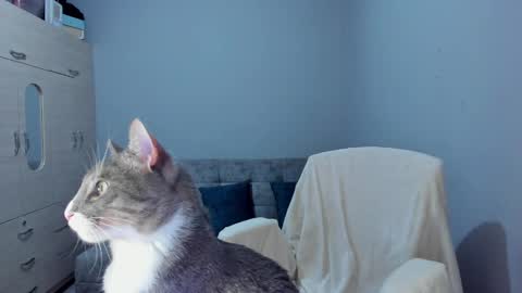    online show from March 2025 02:45:01 AM