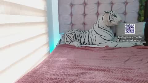 mariaribeiro online show from January 2026 07:49:02 PM