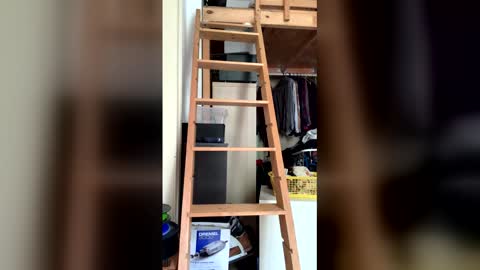 mario_gasm online show from May 2026 01:50:01 PM