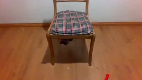 Snapshot of maripaula369 chatting on January 2025 11:58:02 PM Maripaula369 online show from January 2025 11:58:02 PM