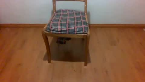 Snapshot of maripaula369 chatting on February 2025 03:23:02 AM Maripaula369 online show from February 2025 03:23:02 AM