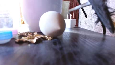 LEAH online show from March 2025 09:07:01 AM