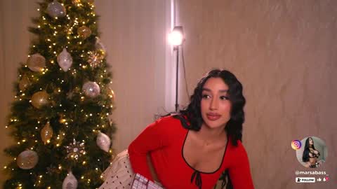 Snapshot of marsabass chatting on December 2024 07:29:02 PM online show from December 2024 07:29:02 PM