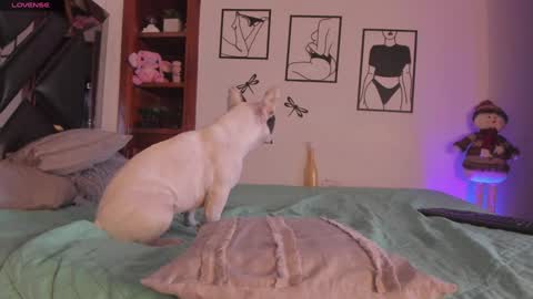 Snapshot of marstone_ chatting on January 2025 04:11:02 AM Mar online show from January 2025 04:11:02 AM