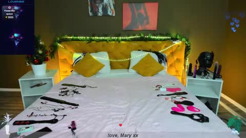 Snapshot of mary_xextra chatting on December 2024 01:04:02 AM Mary GTM3Mon Wed Thu Sat Sun 0400 am-1030pm online show from December 2024 01:04:02 AM