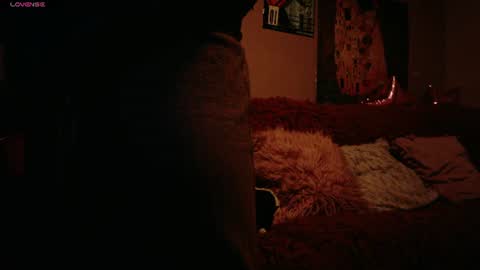     online show from July 2026 06:53:02 AM